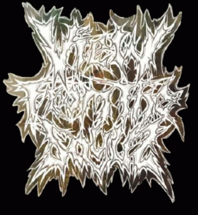 logo View From The Soyuz